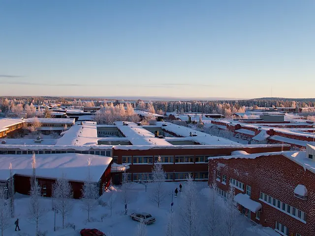 Luleå tekniska universitet en vinterdag