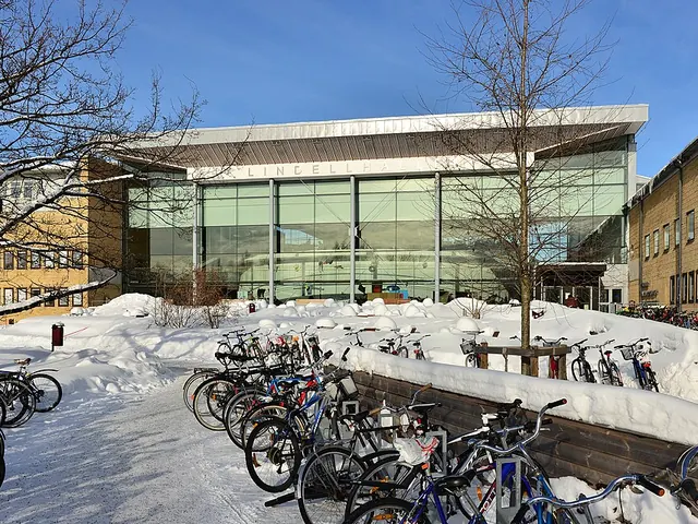 Campus vid Umeå universitet en vinterdag